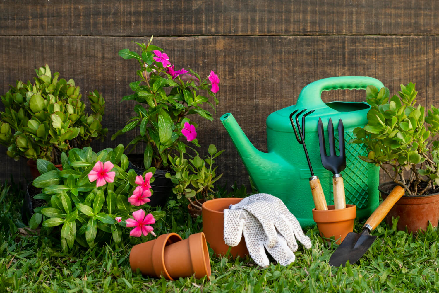 Garden cleaning istanbul