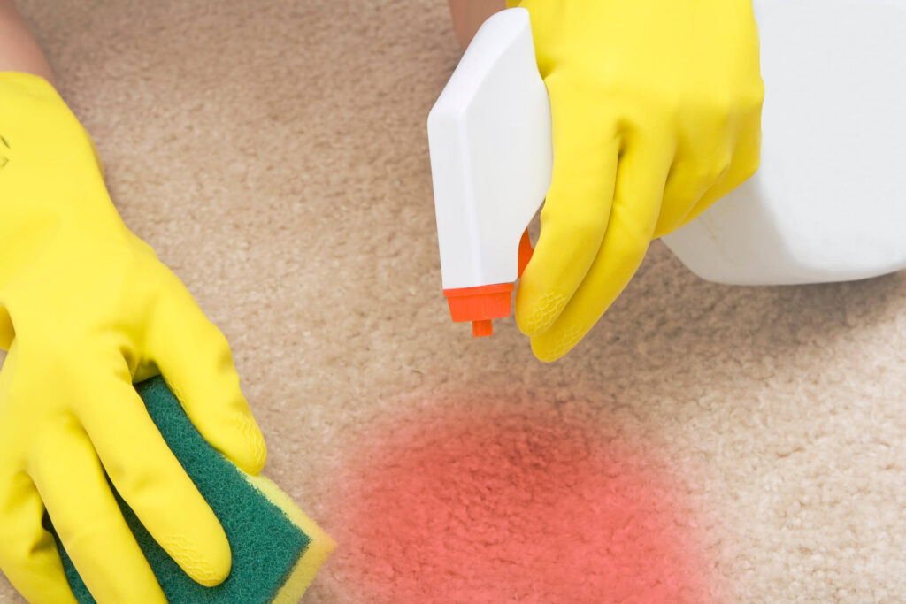Upholstery Cleaning Company Istanbul