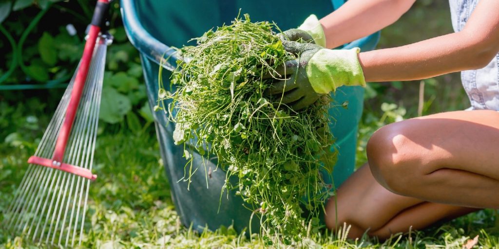 Garden Cleaning Company